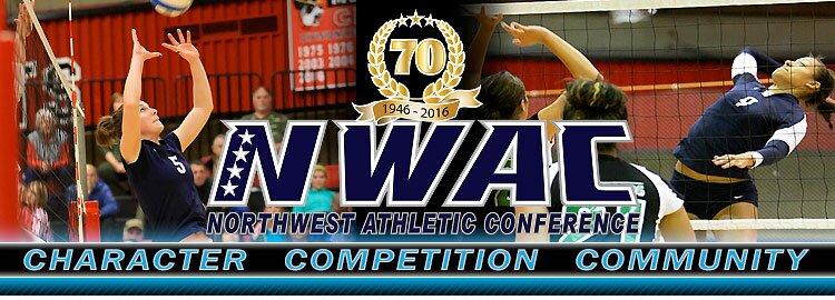 volleyball-2A volleyball-2A