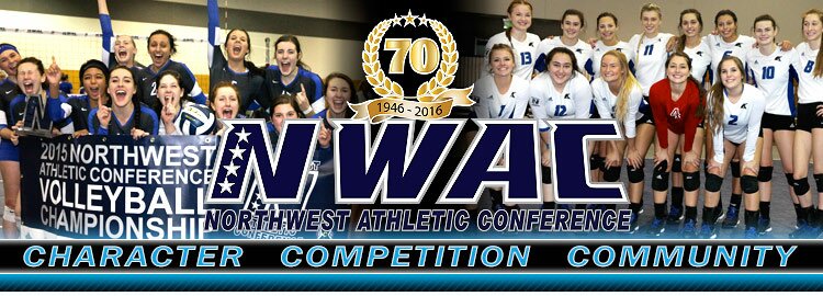 volleyball-2 volleyball-2